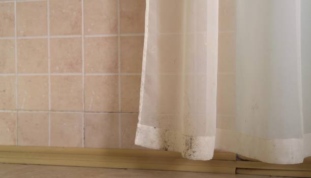 Best Indoor Air Quality Assessment  in Arrowhead Beach, NC
