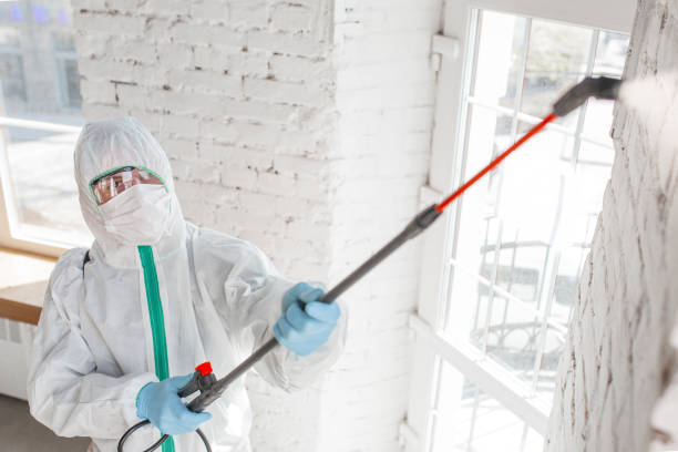 Best Air Quality Testing for Mold Spores  in Arrowhead Beach, NC