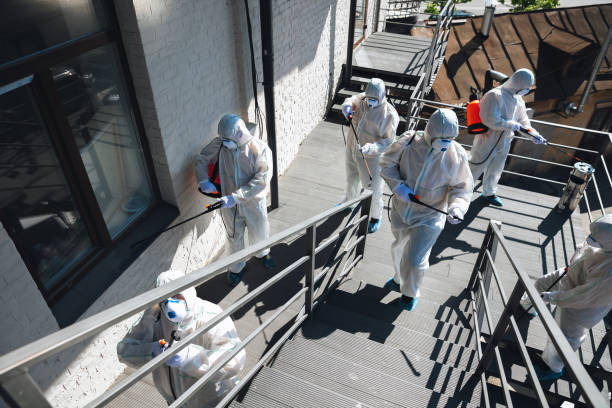 Best Emergency Mold Remediation  in Arrowhead Beach, NC