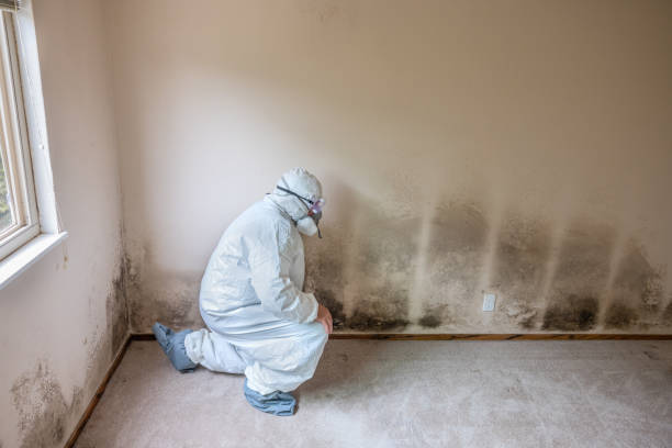 Best Crawl Space Mold Remediation  in Arrowhead Beach, NC